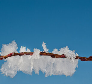 cristalli di neve, snow crystals