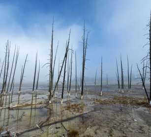 paesaggio, landscape PN di Yellowstone, Yellowstone NP
