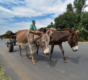 per la strada, on the road