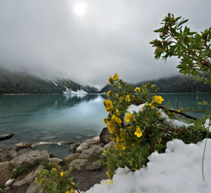 Moraine lake, Banff NP