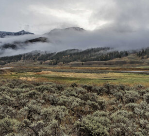 valle Lamar, Lamar valley PN di Yellowstone, Yellowstone NP