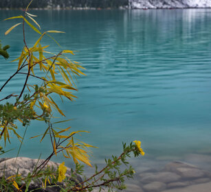 Moraine lake, Banff NP