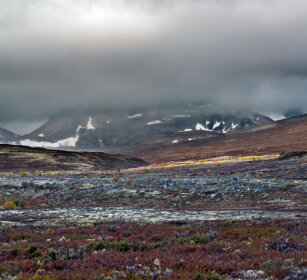 paesaggio, landscape parco nazionale di Dovrefjell, Dovrefjell NP