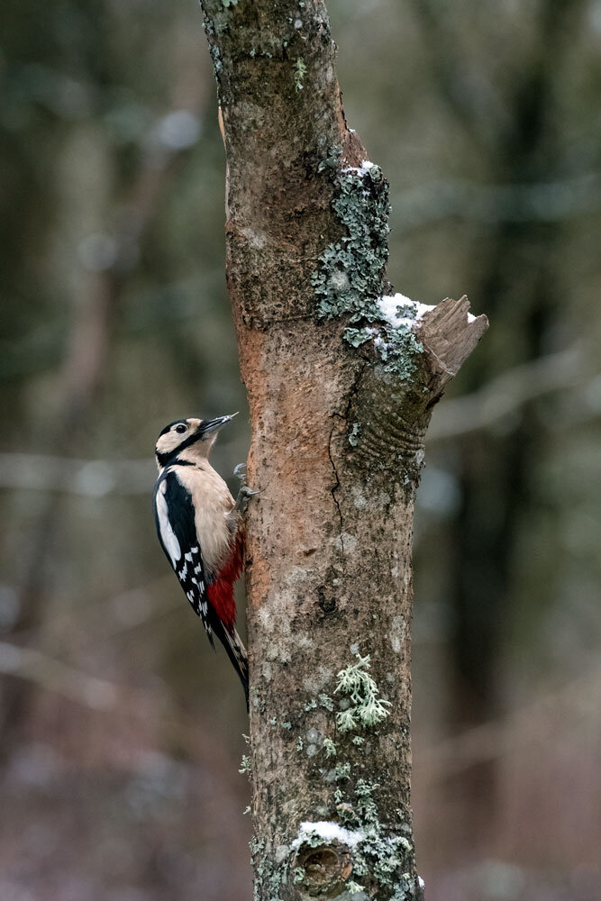 7221af18-f049-48d6-a804-ba9d3711374e