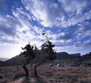Campo tendato, tented camp montagne del Simien, Simien mountains