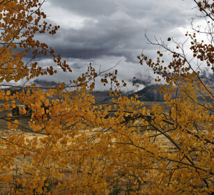 autunno, autumn PN di Yellowstone, Yellowstone NP