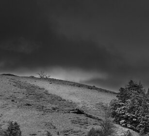 paesaggio, landscape, Yellowstone