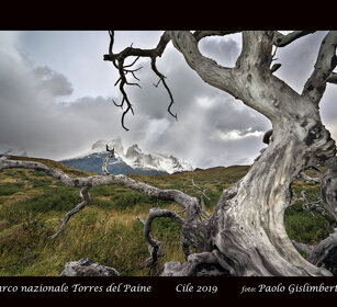 paesaggio, landscape Torres del Paine, Patagonia paesaggio, landscape Torres del Paine, Patagonia