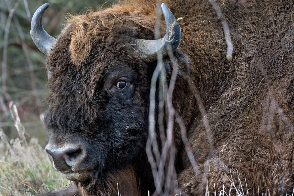 653ed486-bffa-424f-9e9d-9832f07633ce