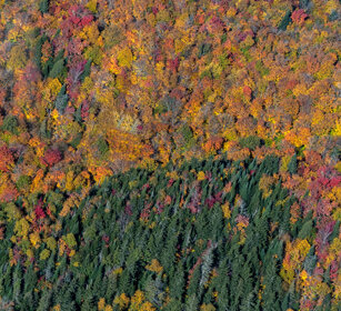 Aerial view Mont Tremblent NP