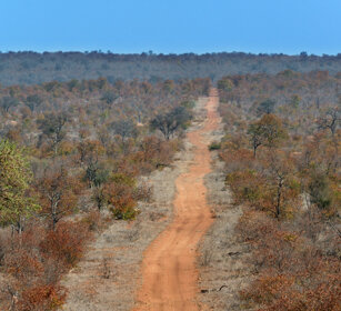 paesaggio, landscape PN Kruger, Kruger NP