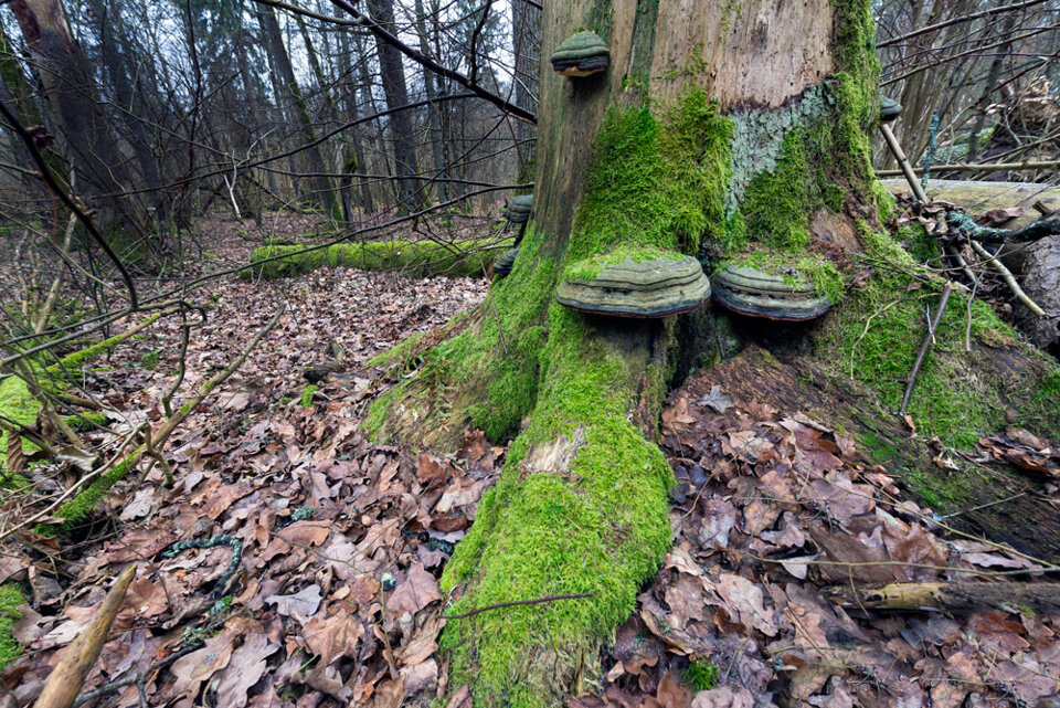 8c040990-d96f-456b-a1a6-32c05e69bac4