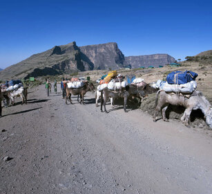 Carovana, Asses caravan montagne del Simien, Simien mountains