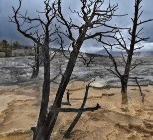 paesaggio, landscape Mammoth Hot spring, PN di Yellowstone, Yellowstone NP