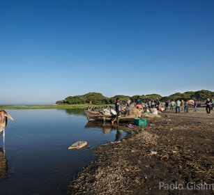 Marabù e pescatori, lago Awasa Marbou Storks and fishers, lake Awasa