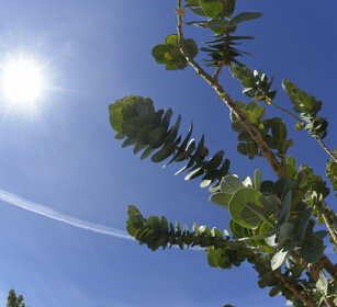 paesaggio, landscape Fuerteventura
