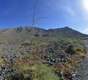 paesaggio, landscape Fuerteventura