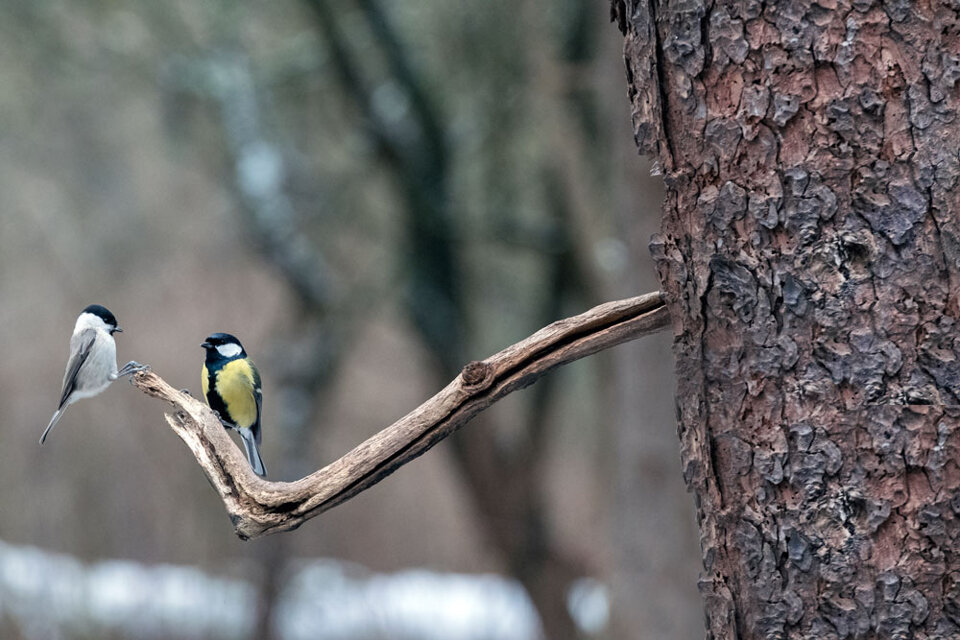 81f06885-0722-41c1-b014-2c23833cd3a7