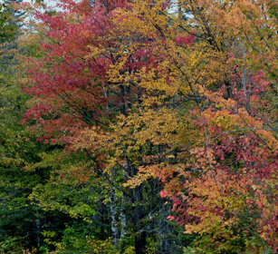 Indian summer Jacques Cartier NP
