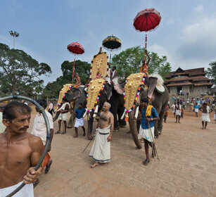 Pooram Elephant Festival 2010 Thrissur, Kerala
