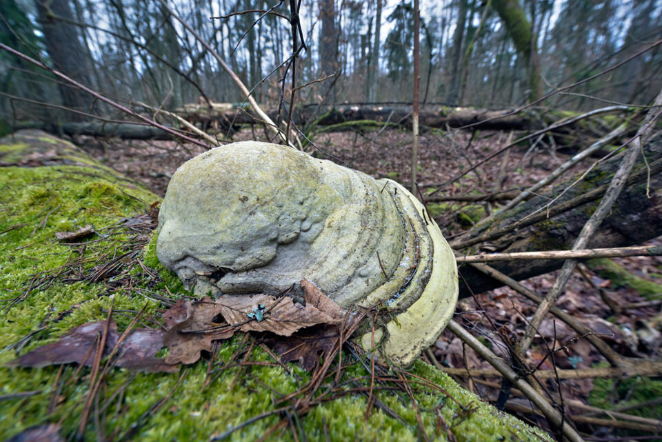 e88b2079-a7ed-4be7-a178-9a76fc602123