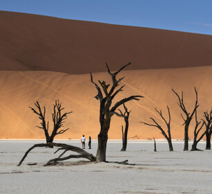 paesaggio, landscape Sossusvlei