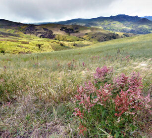 paesaggio, landscape montagne Bale, Bale mountains