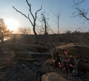 paesaggio, landscape PN Kruger, Kruger NP