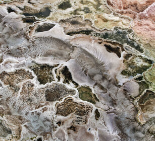 depositi calcarei, calcareous sediments Mammoth Hot spring, PN di Yellowstone, Yellowstone NP