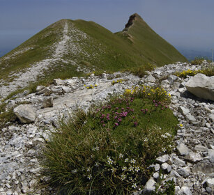 paesaggio, landscape m. Sibilla, Marche