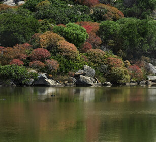 riflessi, reflections isola dell'Asinara, Sardegna. Asinara island, Sardinia