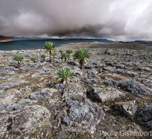 paesaggio, landscape, Sanetti plateau