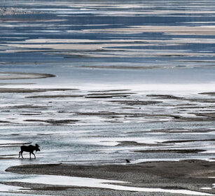 Medicine lake, Banff NP