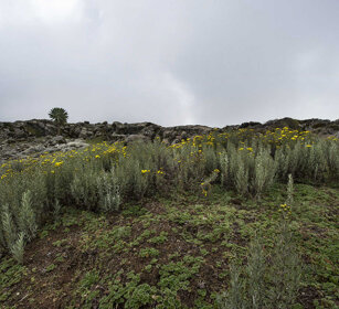 paesaggio, landscape Sanetti plateau
