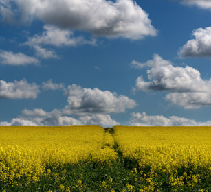 paesaggio, landscape