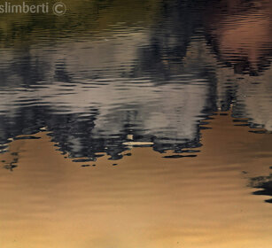 riflessi, reflections