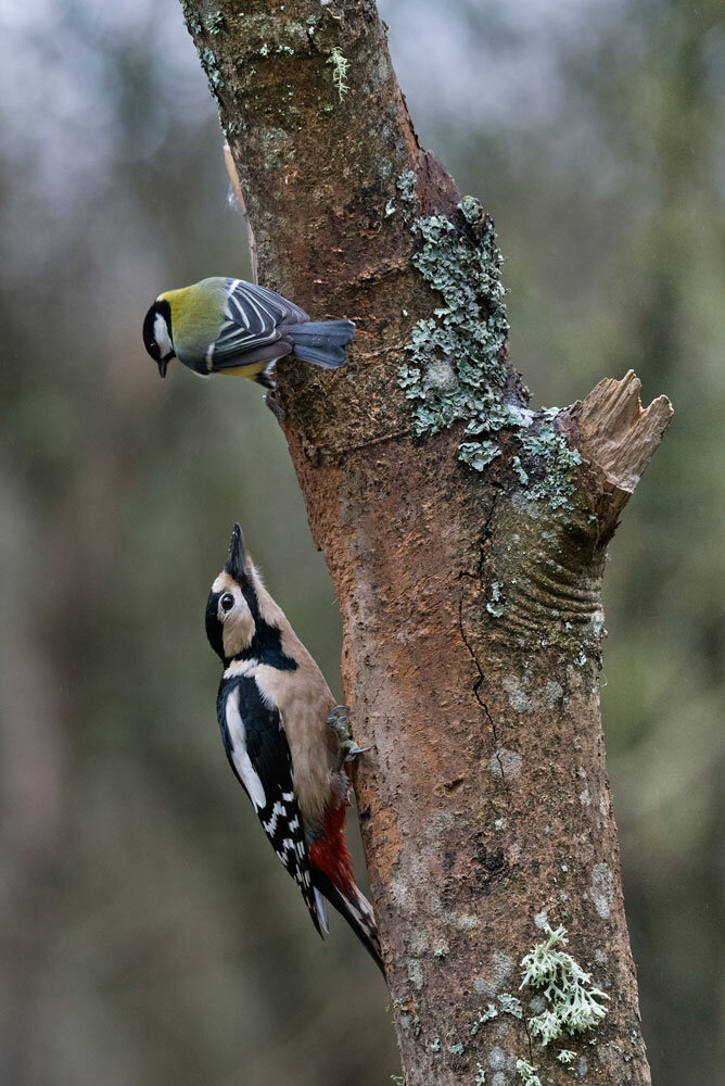 fc27c1b4-9b79-472e-9178-d9c57e78187b