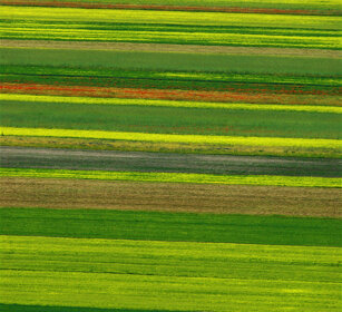 campagna, country Castelluccio di Norcia (Pg)