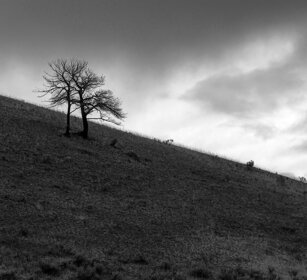 paesaggio, landscape