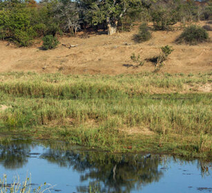 paesaggio, landscape PN Kruger, Kruger NP