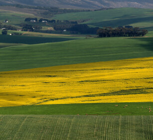 paesaggio, landscape