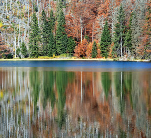 lago Rachel, Rachel lake Bayerischerwald NP