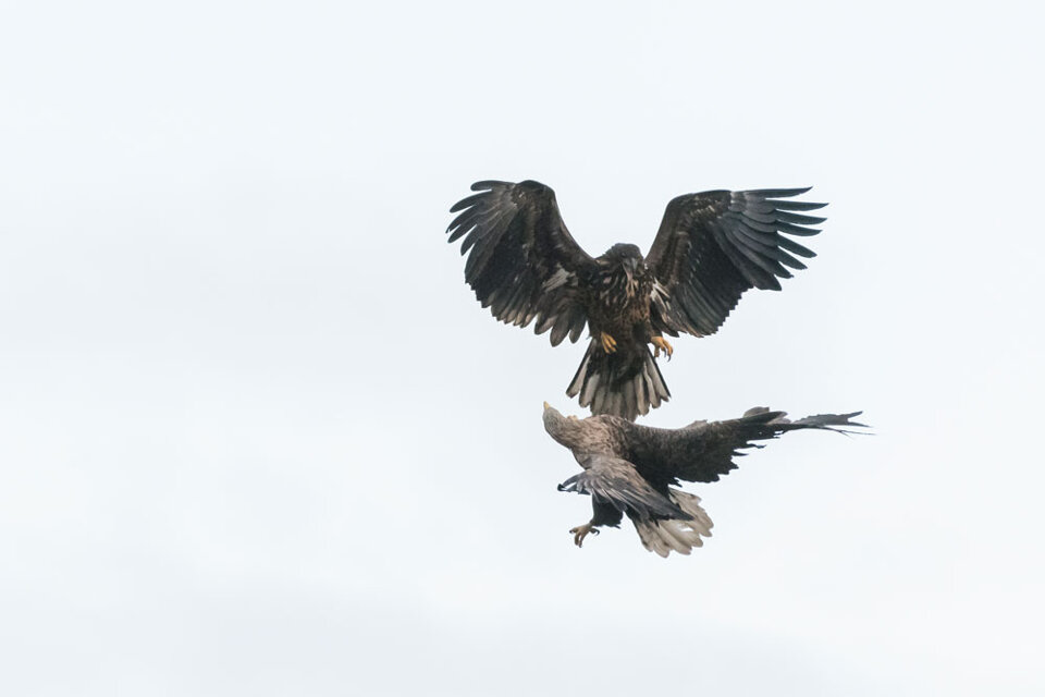 f0904315-4542-4012-9a08-01b0b2ce2983