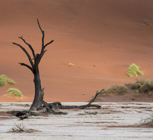 paesaggio, landscape Sossusvlei
