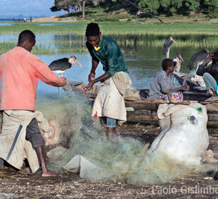 pescatori, fishers, lago Awasa, lake Awasa