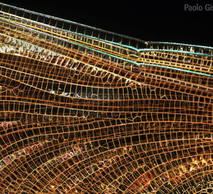 ala di libellula, dragonfly's wing Frossasco (To), Piemonte