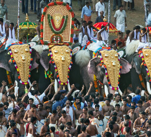 Pooram Elephant Festival 2010 Thrissur, Kerala