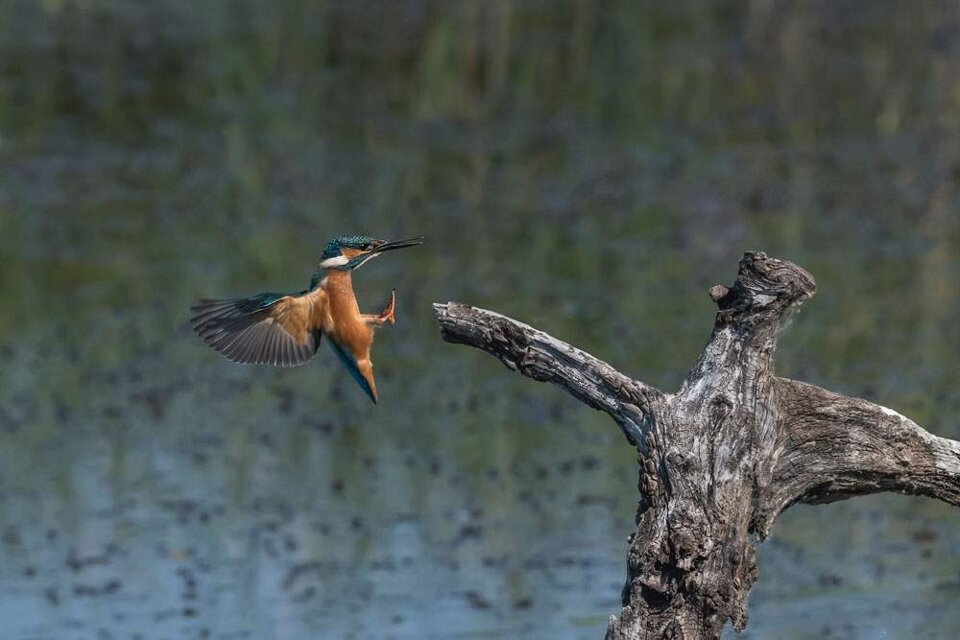 59f47771-d418-4ce8-8e1b-5c01c49076a0.jpeg 59f47771-d418-4ce8-8e1b-5c01c49076a0.jpeg