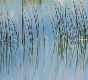 Talbot lake, Banff NP