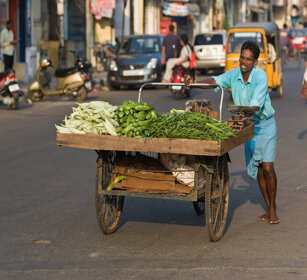 venditore ambulante, street trader Chennai, Tamil Nadu